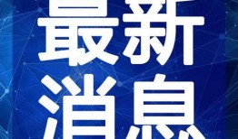 陕西小吃爆料视频大全最新,揭秘视频大全中的地道美食风情