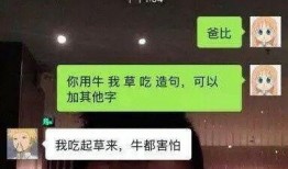 我为聊狂在线看观看,在线观看，畅享欢乐时光