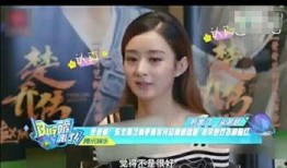 凯文爆料赵丽颖视频,凯文独家爆料引热议