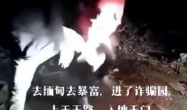 爆料缅北被骗女人视频大全,视频曝光真相触目惊心